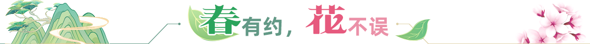 春有約，花不誤